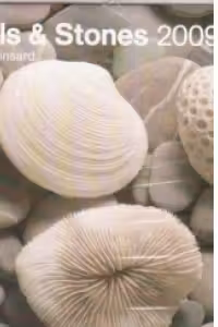 Shells and Stones 2009