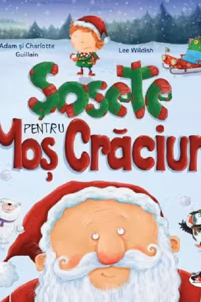 Sosete pentru Mos Craciun
