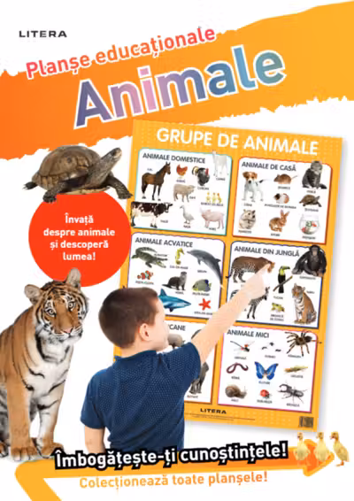 ANIMALE (planse educationale infoliate)