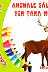 Coloram si invatam! Animale salbatice din tara noastra