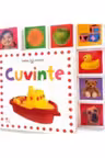 CUVINTE. Bebe invata. Minitab