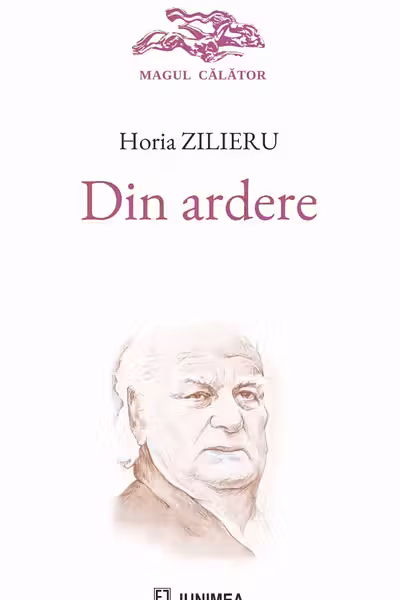 Din ardere