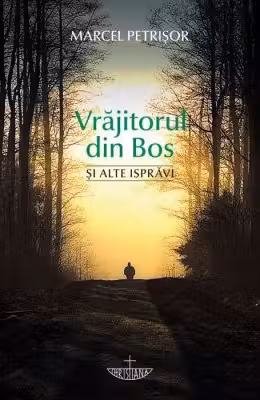 Vrajitorul din Bos si alte ispravi