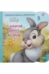 DISNEY IEPURASI. CARTICICA MEA CU FERESTRUICI. O SURPRIZA PENTRU BOCANILA!