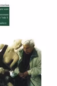 Povestiri foarte scurte, intamplari din viata lui Vasile B., Caiet cu subiecte