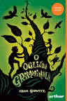 O oglinda grimminala