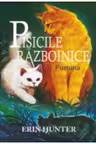 Furtuna