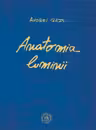 Anatomia luminii