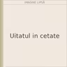 Uitatul in cetate