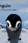 Carte cu papusa de deget. Pinguin
