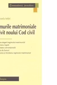 Regimurile matrimoniale potrivit noului Cod civil