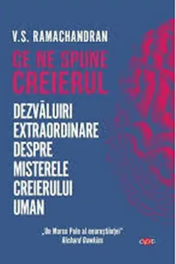 Carte pentru toti. Vol. 117 CE NE SPUNE CREIERUL