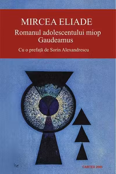 Romanul adolescentului miop