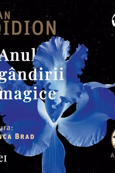 Anul gândirii magice (audiobook)