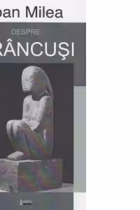 Despre Brancusi