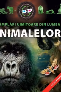 Intamplari uimitoare din lumea animalelor - cu ochelari 3D