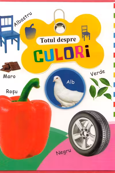 Totul despre culori