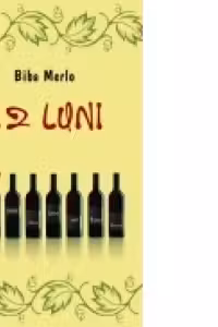 12 luni Douasprezece povestiri de dragoste - mici bijuterii de care sa te bucuri ca de un vin bun