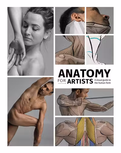 Anatomy for Artists