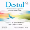 Destul (audiobook)