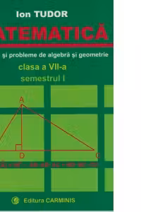 Matematica. Clasa a VII-a. Exercitii si probleme de algebra si geometrie (semestrul I)