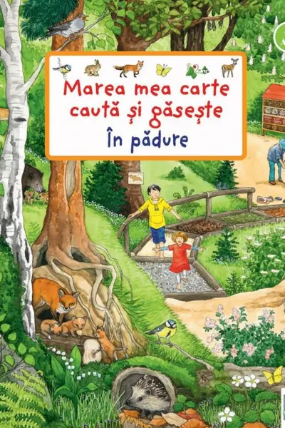 Marea mea carte cauta si gaseste - In padure