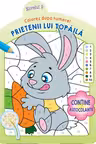 Prietenii lui Topaila