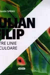 Intre linie si culoare