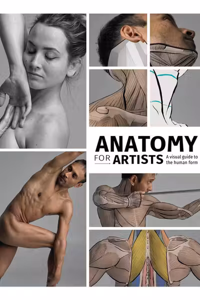 Anatomy for Artists