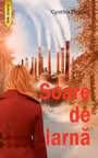 Soare de iarnă