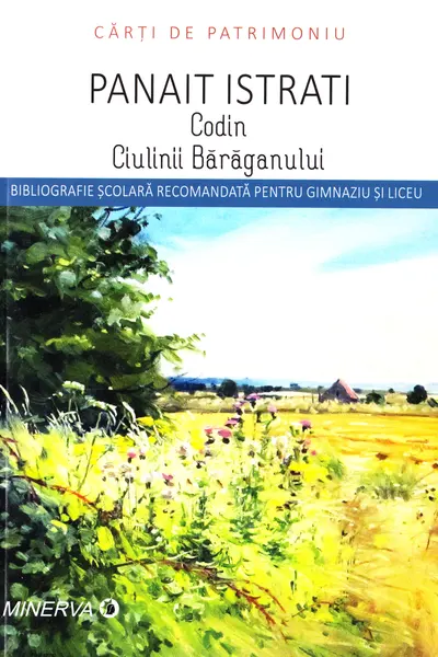 Codin/Ciulinii Baraganului