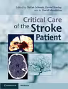 Critical Care of the Stroke Patient - Stefan Schwab, Daniel Hanley, A. David Mendelow