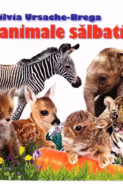 Eu sunt mic Pui de animale salbatice