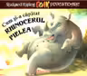 Cum si-a capatat rhinocerul pielea