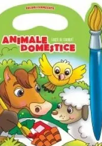 Culori fermecate. Animale domestice.