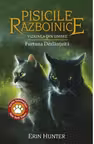 Viziunea din umbre - Furtuna Dezlantuita