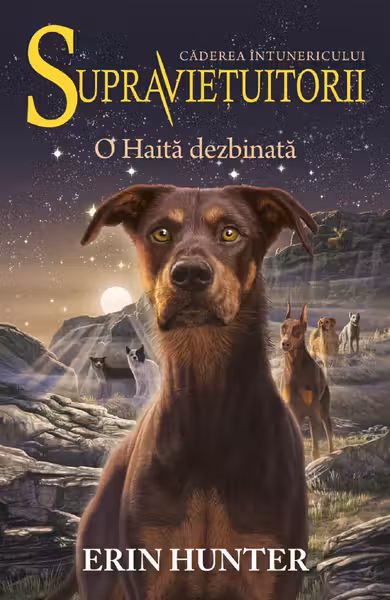 O Haita dezbinata