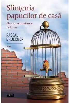 Sfintenia papucilor de casa