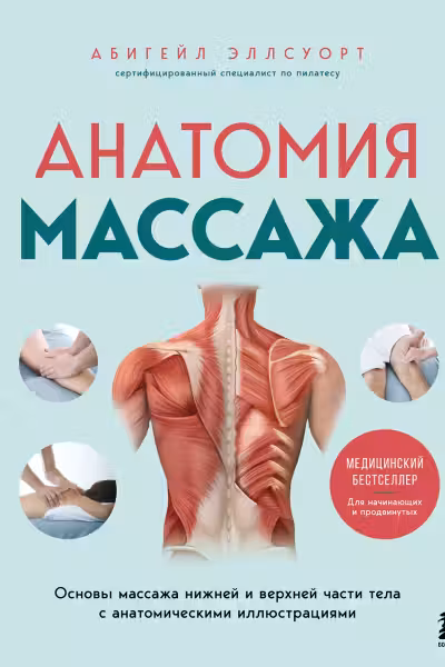 Анатомия массажа. Основы массажа нижней и верхней части тела с анатомическими иллюстрациями