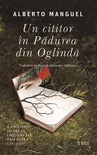 Un cititor in Padurea din Oglinda
