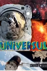 Universul