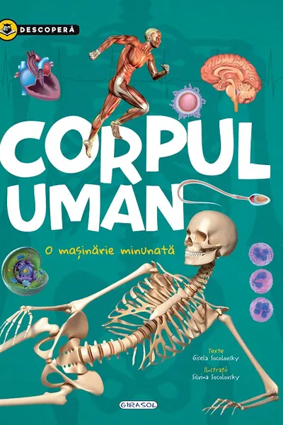 Corpul uman