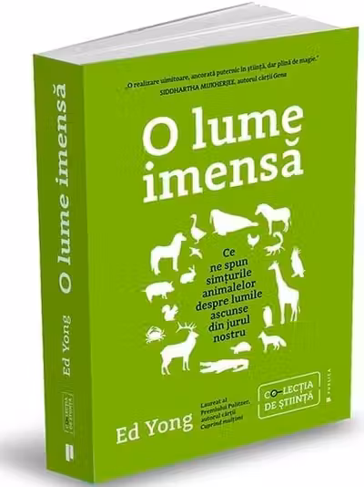 O lume imensa