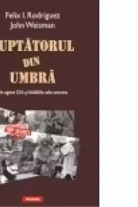 Luptatorul din umbra: un agent CIA si bataliile sale secrete