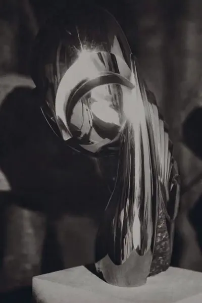 Brancusi. Sculpting With Light / Brancusi. Rzezbienie swiatlem