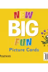 Big Fun Refresh Level 2 Picture Cards