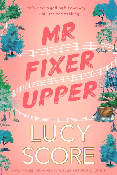 Mr Fixer Upper