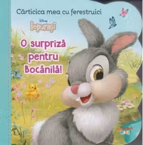 DISNEY IEPURASI. CARTICICA MEA CU FERESTRUICI. O SURPRIZA PENTRU BOCANILA!