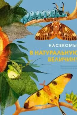 Насекомые в натуральную величину