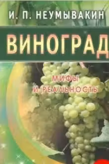 Виноград. Мифы и реальность